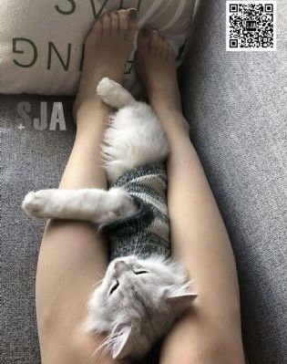 杨贵妃1992版免费_DVDHD高清在线观看
