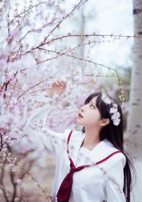 我的夜晚比你的白天更美电影_电影无删减版